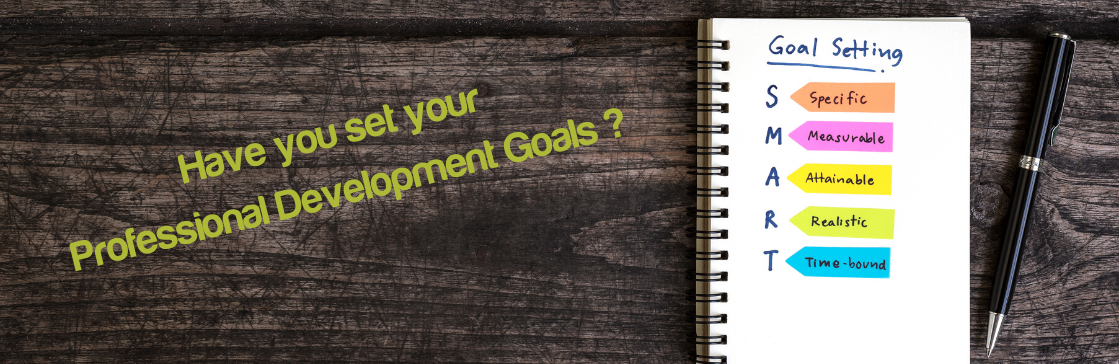 Professional Development Goals