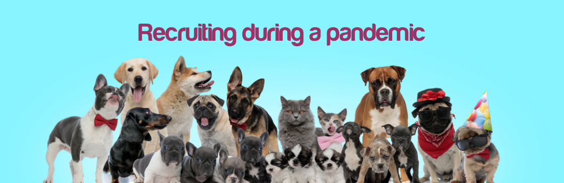 Dakota Blue Consulting :: Recruiting during a pandemic